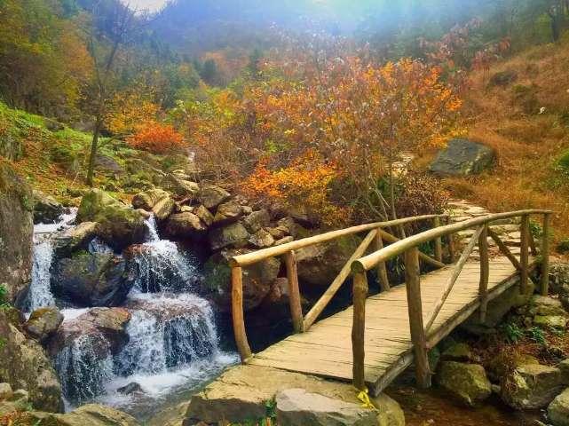 答案呢？你知道吗？游戏画面