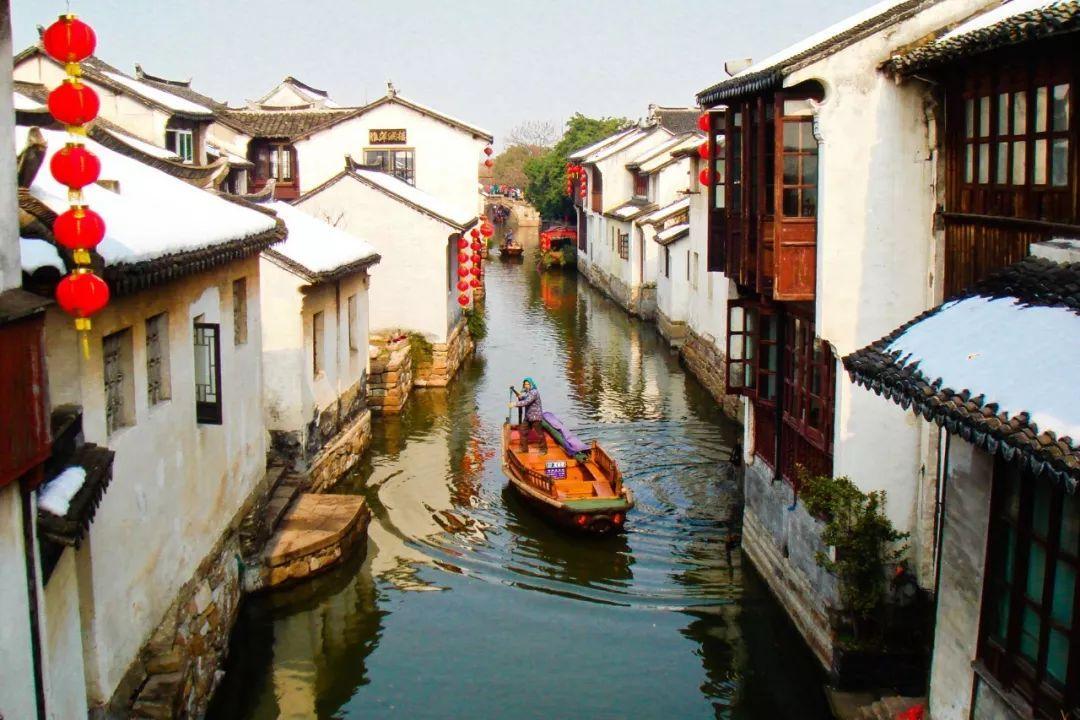 动物帮帮忙保卫家园